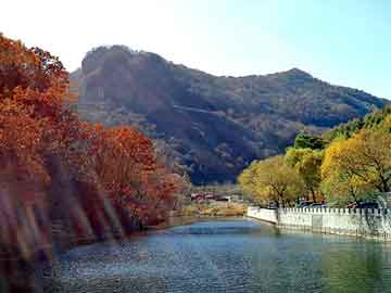 管家婆黑白马报图库，北京线路板